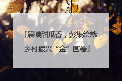 晨曦甜瓜香，彭集绘就乡村振兴“金”画卷