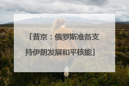 普京：俄罗斯准备支持伊朗发展和平核能