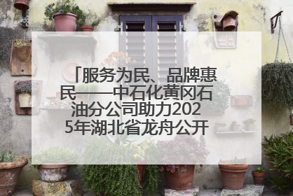 服务为民、品牌惠民——中石化黄冈石油分公司助力2025年湖北省龙舟公开赛（黄冈站）