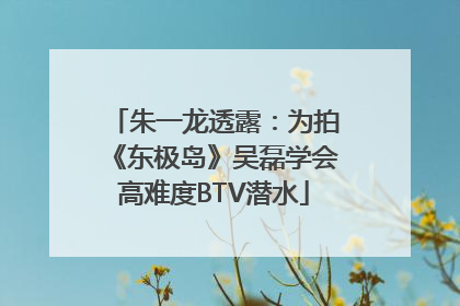 朱一龙透露：为拍《东极岛》吴磊学会高难度BTV潜水
