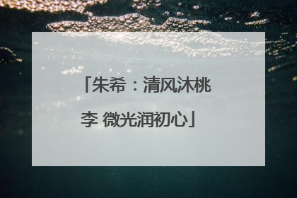 朱希：清风沐桃李 微光润初心