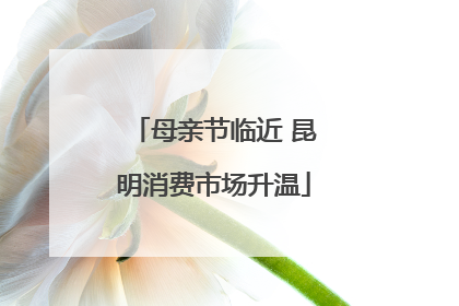 母亲节临近 昆明消费市场升温
