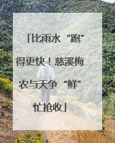 比雨水“跑”得更快！慈溪梅农与天争“鲜”忙抢收