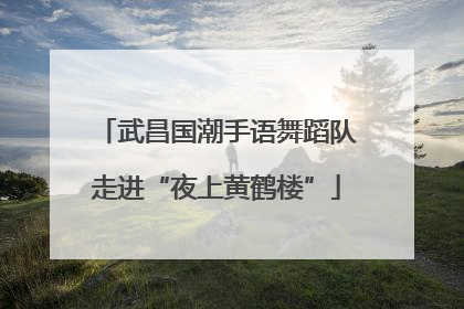 武昌国潮手语舞蹈队走进“夜上黄鹤楼”