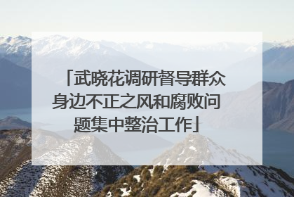 武晓花调研督导群众身边不正之风和腐败问题集中整治工作