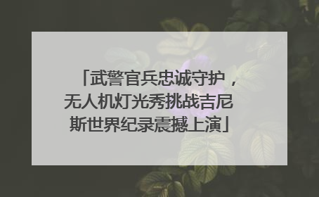 武警官兵忠诚守护，无人机灯光秀挑战吉尼斯世界纪录震撼上演