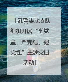 武警娄底支队组织开展“学党章、严党纪、强党性”主题党日活动