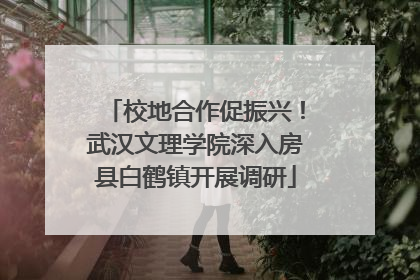 校地合作促振兴！武汉文理学院深入房县白鹤镇开展调研