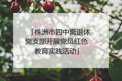株洲市四中离退休党支部开展党员红色教育实践活动