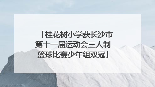 桂花树小学获长沙市第十一届运动会三人制篮球比赛少年组双冠