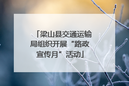 梁山县交通运输局组织开展“路政宣传月”活动