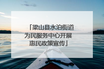 梁山县水泊街道为民服务中心开展惠民政策宣传