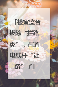 检察监督拔除“拦路虎”，占道电线杆“让路”了