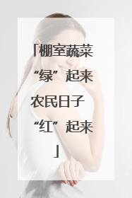 棚室蔬菜“绿”起来 农民日子“红”起来