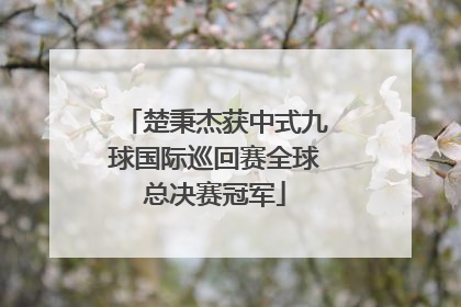 楚秉杰获中式九球国际巡回赛全球总决赛冠军