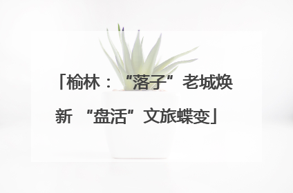 榆林：“落子”老城焕新 “盘活”文旅蝶变