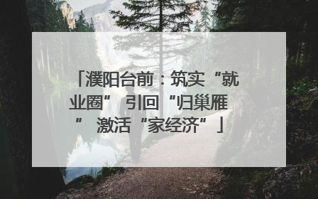 濮阳台前：筑实“就业圈” 引回“归巢雁” 激活“家经济”