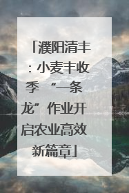 濮阳清丰：小麦丰收季 “一条龙”作业开启农业高效新篇章