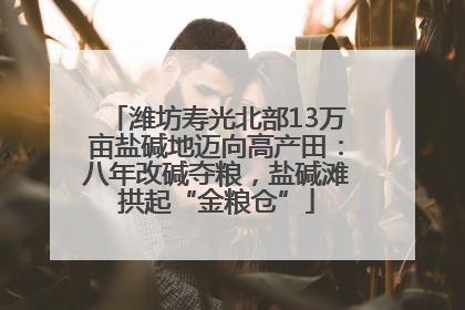 潍坊寿光北部13万亩盐碱地迈向高产田：八年改碱夺粮，盐碱滩拱起“金粮仓”