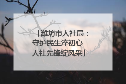 潍坊市人社局：守护民生淬初心 人社先锋绽风采