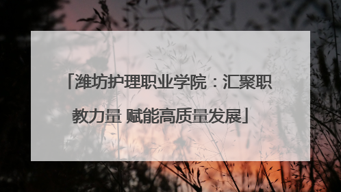 潍坊护理职业学院：汇聚职教力量 赋能高质量发展