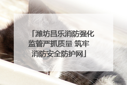 潍坊昌乐消防强化监管严抓质量 筑牢消防安全防护网