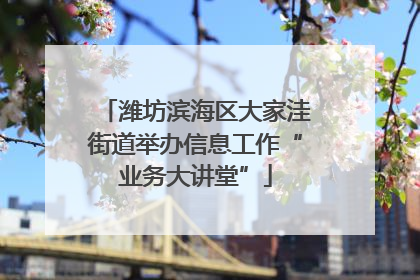 潍坊滨海区大家洼街道举办信息工作“业务大讲堂”