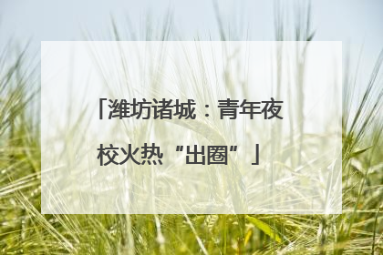 潍坊诸城：青年夜校火热“出圈”
