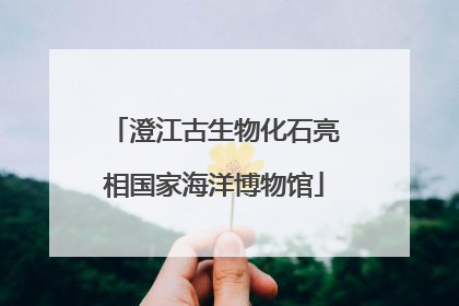 澄江古生物化石亮相国家海洋博物馆