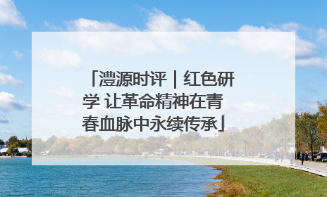澧源时评｜红色研学 让革命精神在青春血脉中永续传承