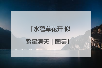 水蕴草花开 似繁星满天｜图集