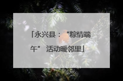 永兴县：“粽情端午” 活动暖邻里