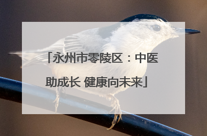 永州市零陵区：中医助成长 健康向未来