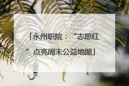 永州职院：“志愿红”点亮周末公益地图
