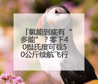 氢能到底有“多能”？零下40摄氏度可载50公斤续航飞行3小时