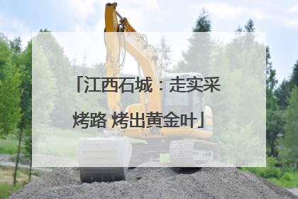 江西石城：走实采烤路 烤出黄金叶
