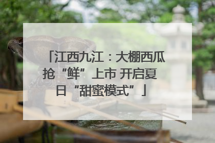 江西九江：大棚西瓜抢“鲜”上市 开启夏日“甜蜜模式”