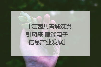 江西共青城筑巢引凤来 赋能电子信息产业发展