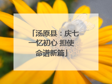汤原县：庆七一忆初心 担使命谱新篇