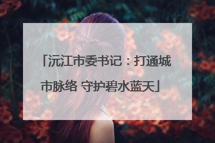 沅江市委书记：打通城市脉络 守护碧水蓝天