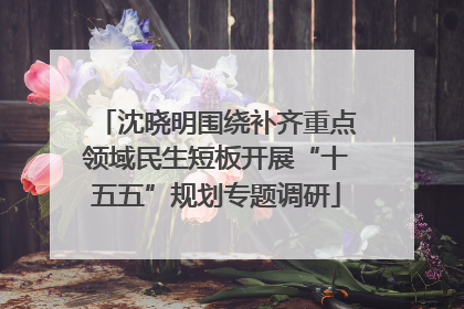 沈晓明围绕补齐重点领域民生短板开展“十五五”规划专题调研