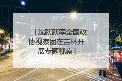 沈跃跃率全国政协视察团在吉林开展专题视察