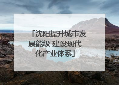 沈阳提升城市发展能级 建设现代化产业体系