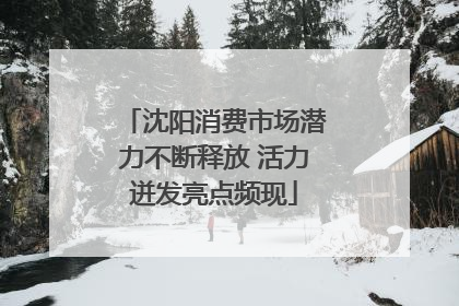 沈阳消费市场潜力不断释放 活力迸发亮点频现