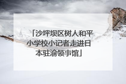 沙坪坝区树人和平小学校小记者走进日本驻渝领事馆