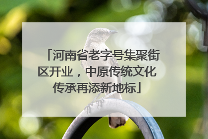 河南省老字号集聚街区开业，中原传统文化传承再添新地标