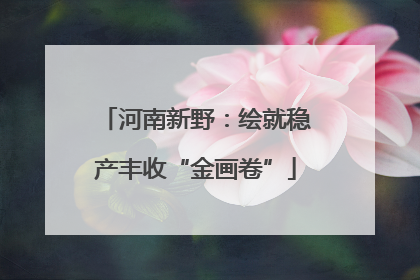 河南新野：绘就稳产丰收“金画卷”