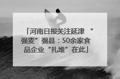河南日报关注延津 “强麦”强县：50余家食品企业“扎堆”在此