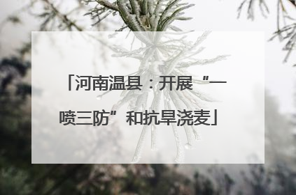 河南温县：开展“一喷三防”和抗旱浇麦