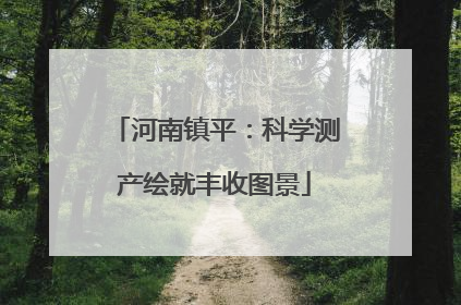 河南镇平：科学测产绘就丰收图景